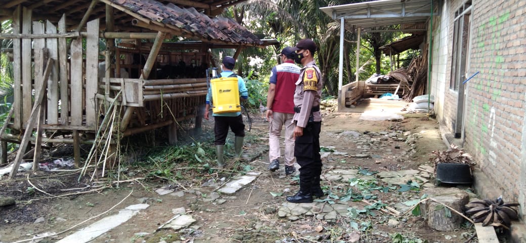 Antisipasi Penyakit Hewan Ternak